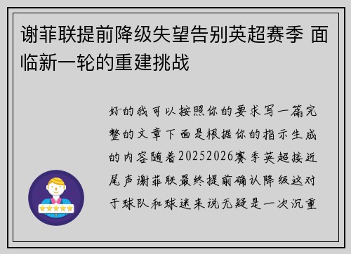 谢菲联提前降级失望告别英超赛季 面临新一轮的重建挑战